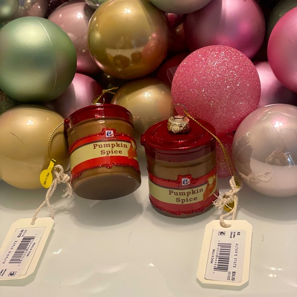 Altar'd State Other - Altar’d State Pumpkin Spice basic funny ornament set